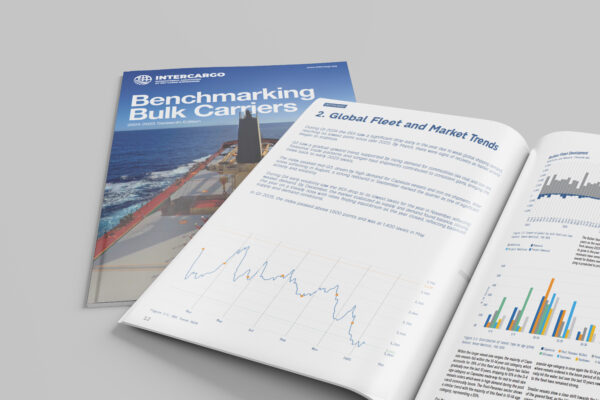 INTERCARGO: Benchmarking Bulk Carriers Report (2024-2025)